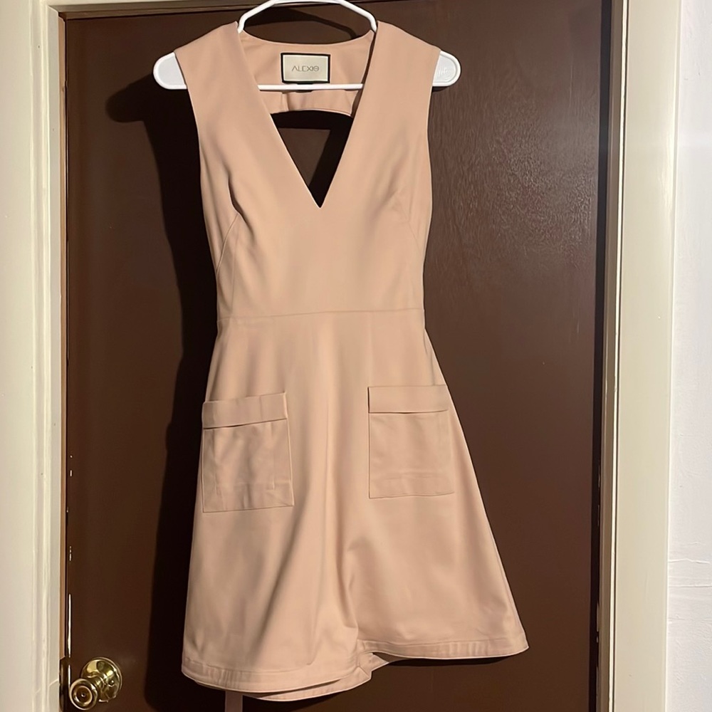 Alexis Blush Pink V-Neck Midi Dress